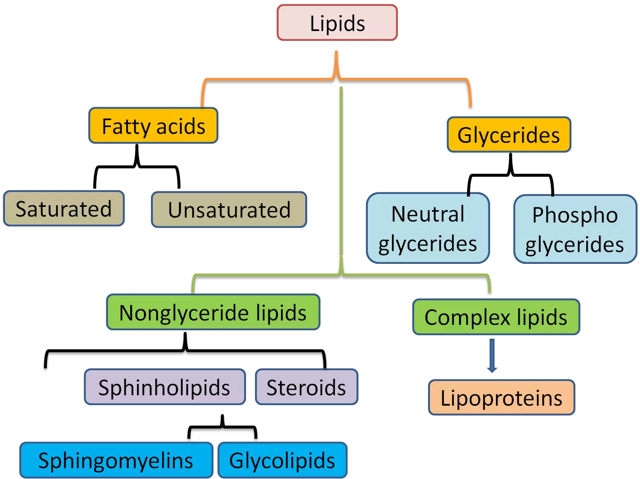 Lipid Classification